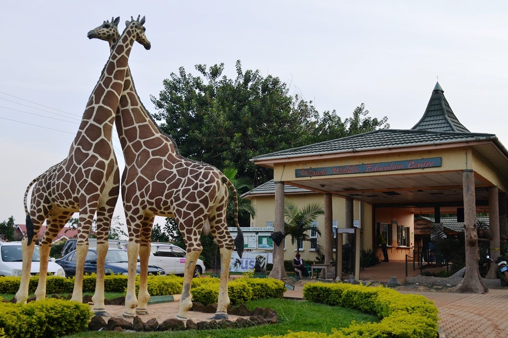 Ugandai Vadvédelmi és Oktatási Központ
