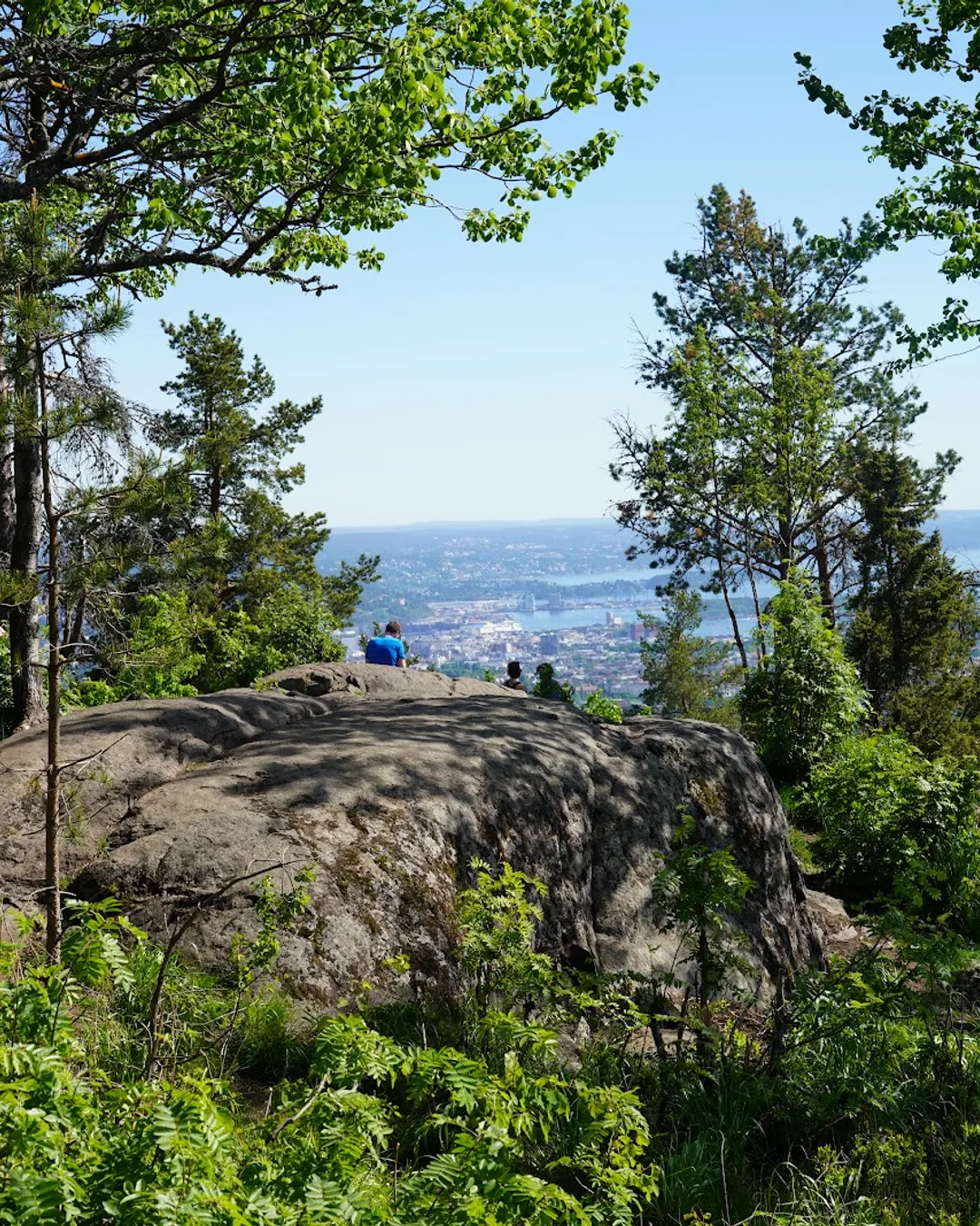 Vettakollen
