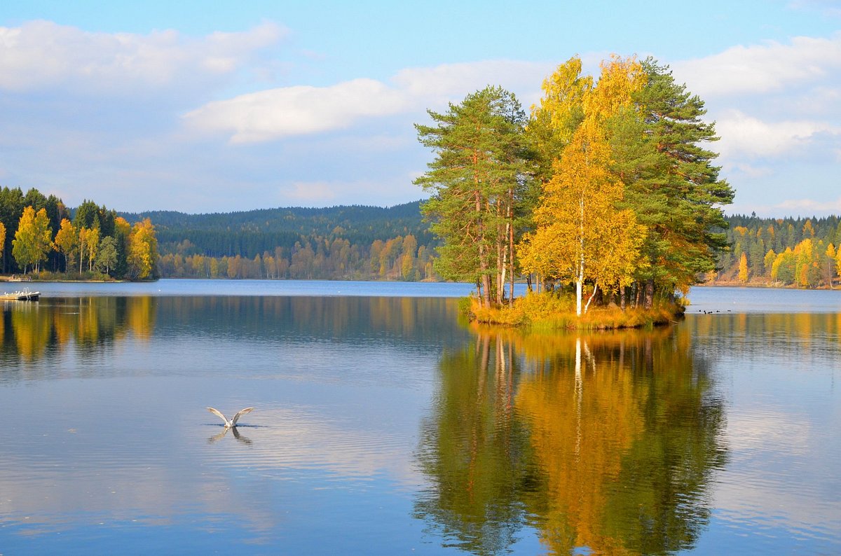 Sognsvann