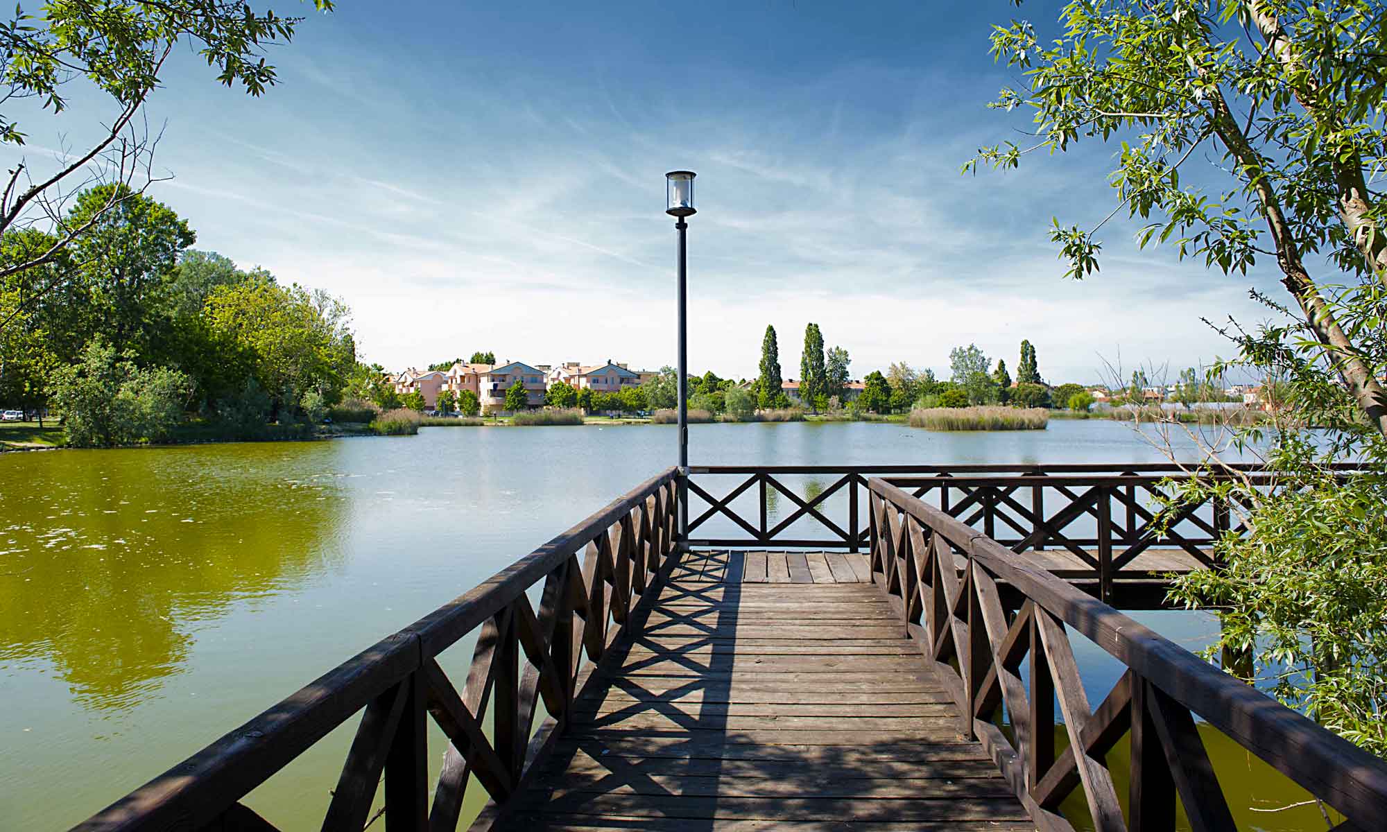 Szederfa park