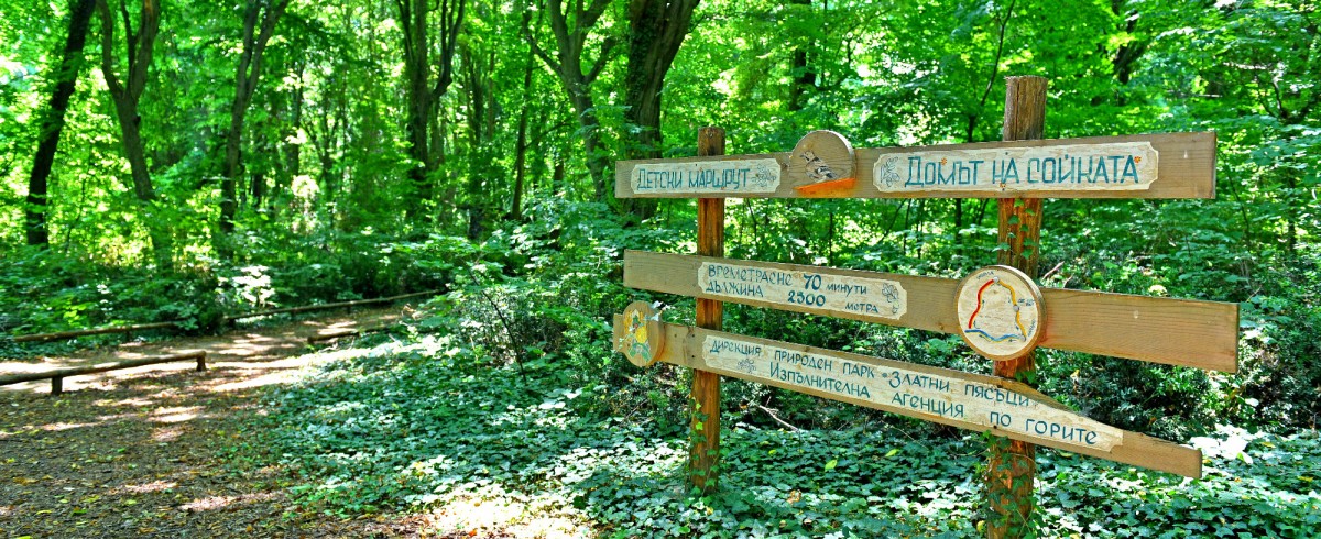Aranyhomok Természeti Park