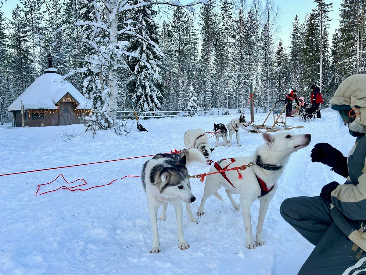 Husky Farm és Téli Szafarik